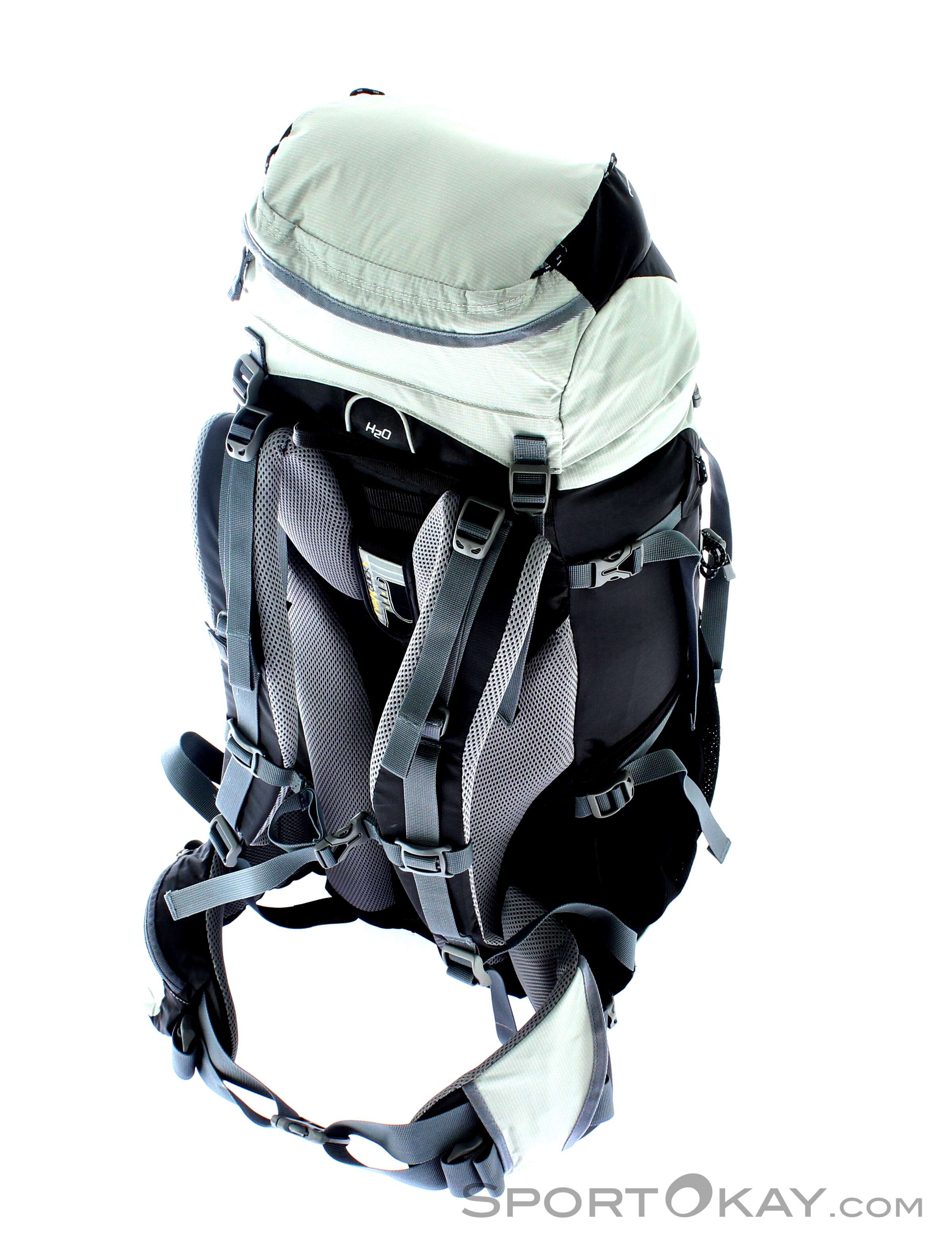 buy deuter backpack canada Futura 27 | grove-ivy | M