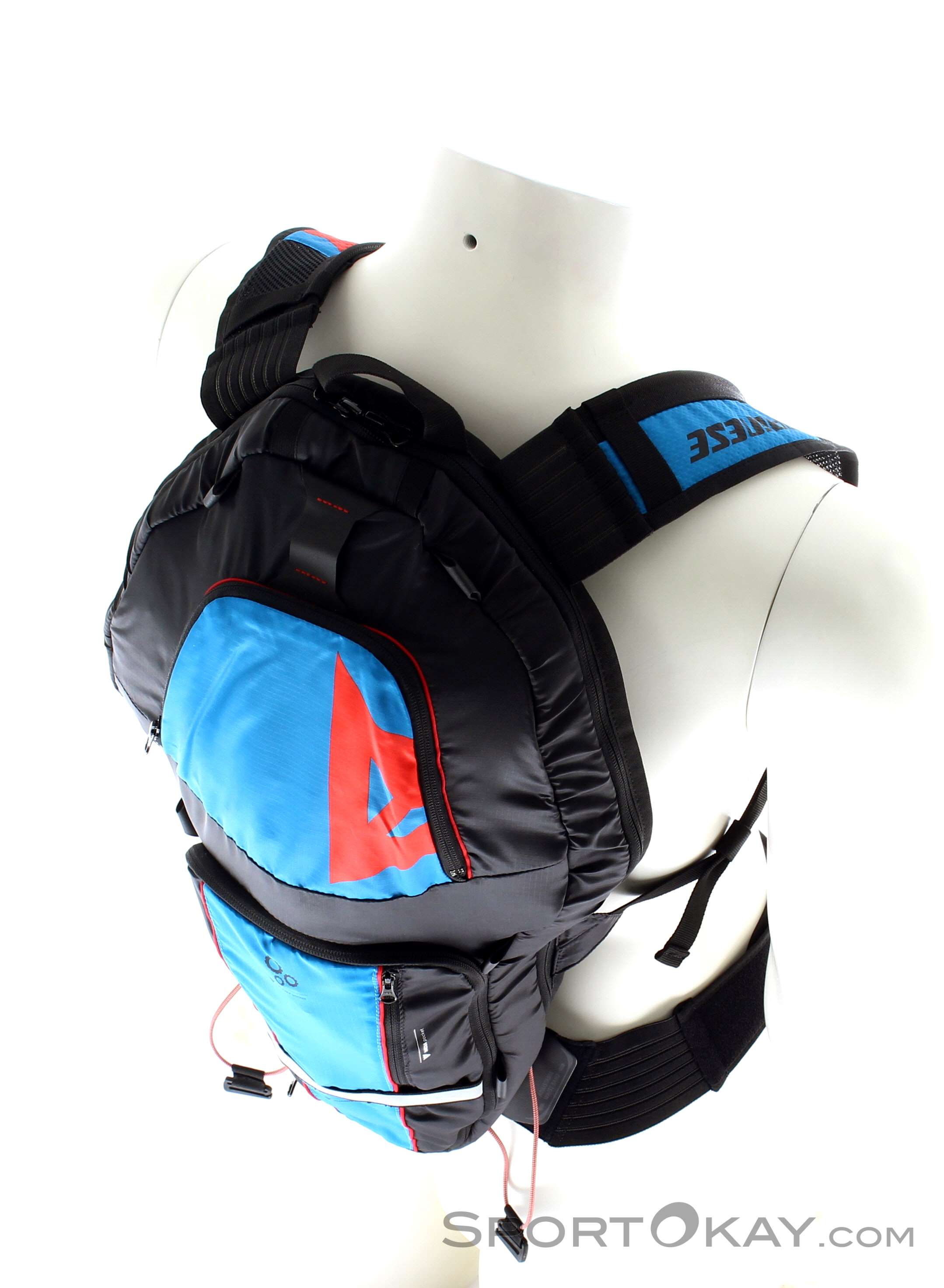 Dainese Pro Pack EVO Bike 12l Backpack Bike Backpacks