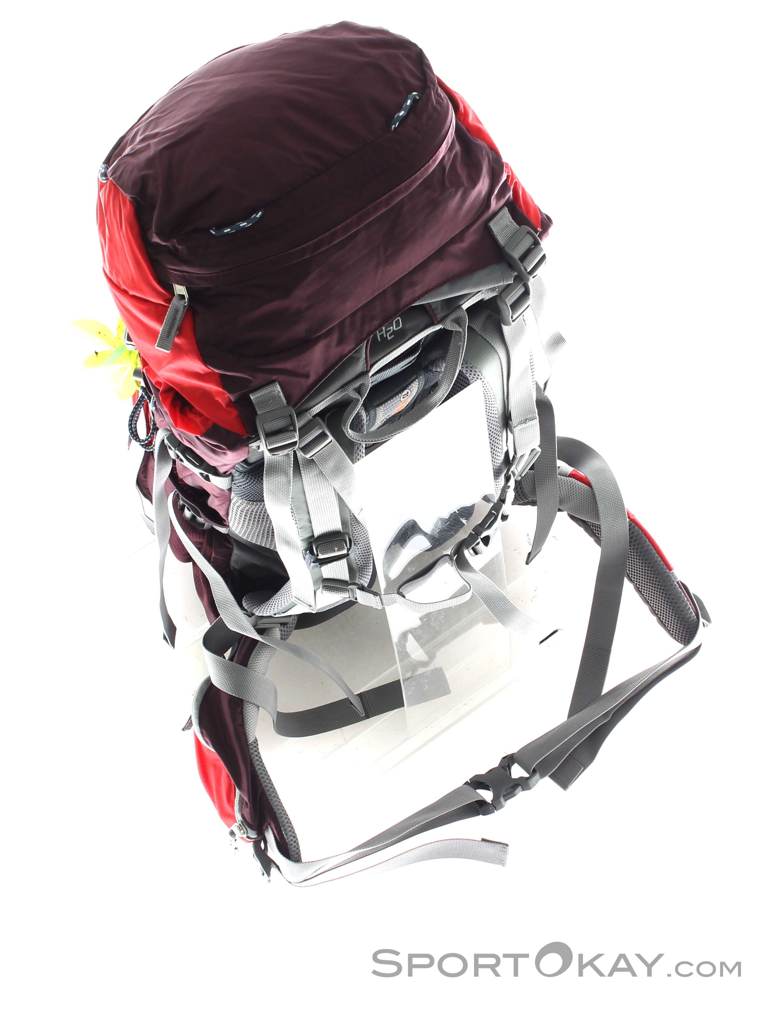 https://www.jansport.com/shop/en/jansport-us/book-bags Big Student